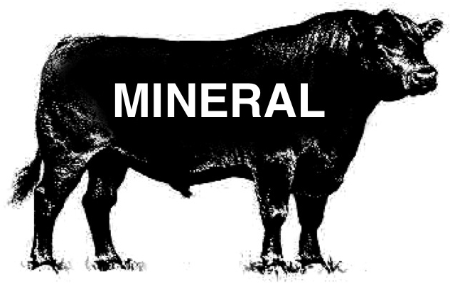 http://latelier1959.com/news/mineral-001.jpg