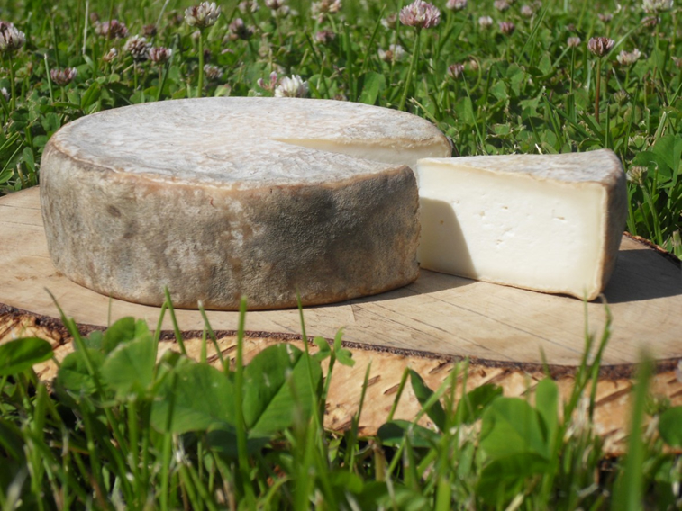 熟成期間を要する硬質チーズ